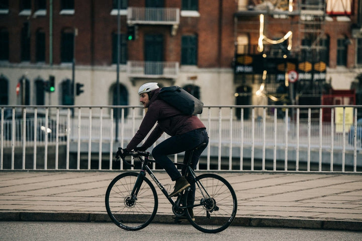 Apidura City Backpack 17L
