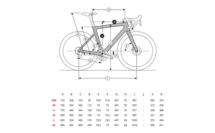Ridley Falcn RS Disc Road Bike (Shimano 105 Di2 / Forza Levanto db)