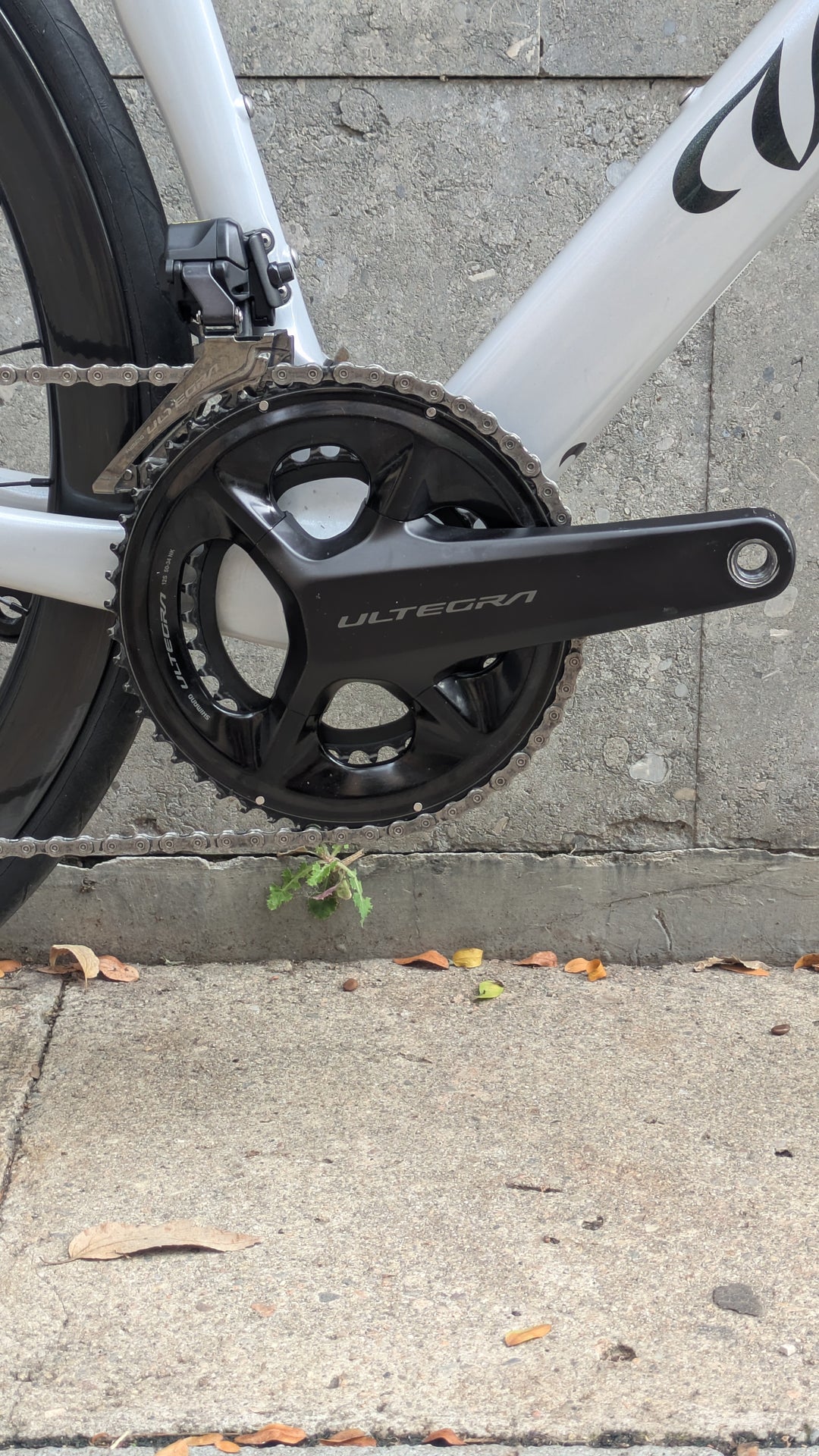 Wilier Filante Hybrid (Shimano Ultegra Di2) Ex-Demo Size M (54) 2