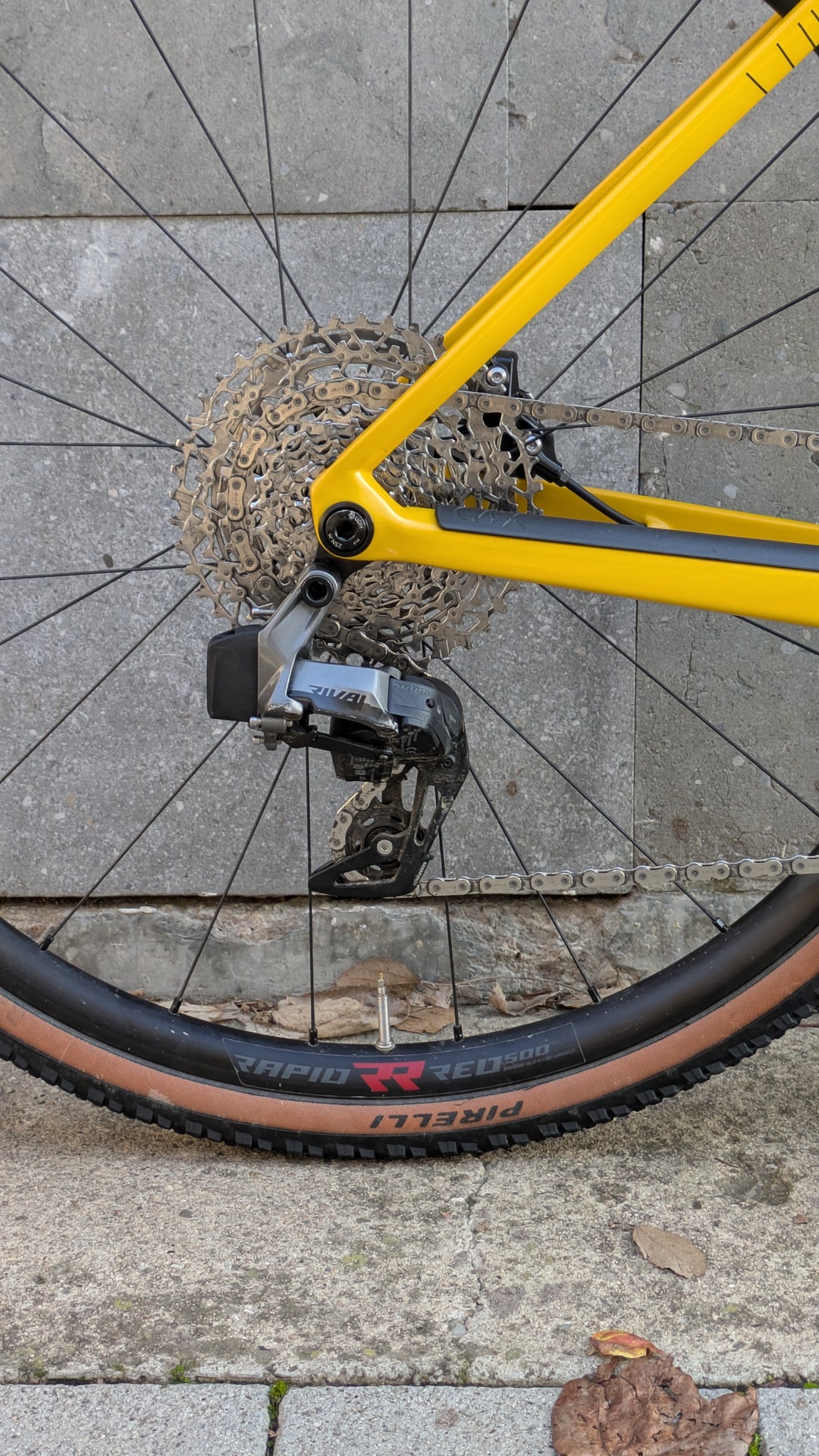 Colnago G4-X Gravel Bike (SRAM Rival AXS) Alu wheels Ex-Demo 2025 Size 450