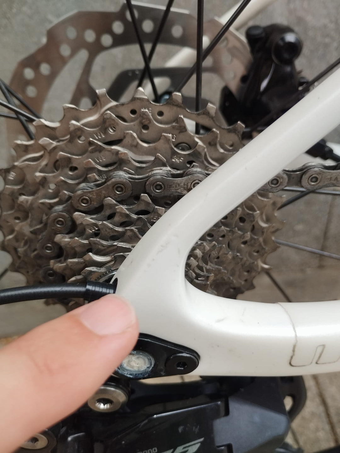 Basso Venta R (Shimano 105) Ausstellungsstück Größe 42