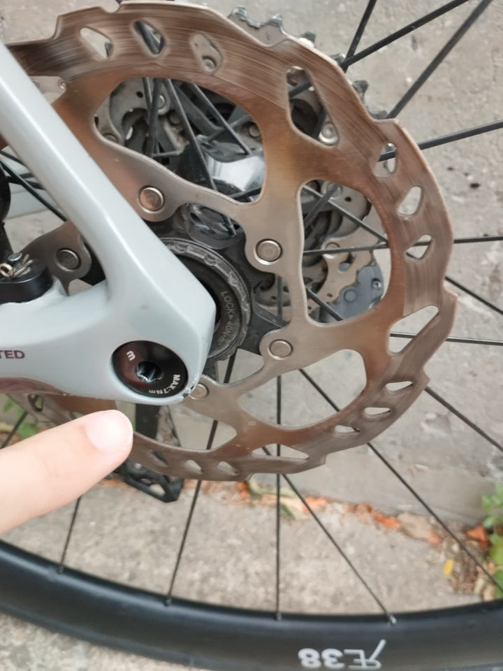 Basso Astra Rennrad 2025 (Shimano 105 di2) Ausstellungsstück Größe 58 (2)