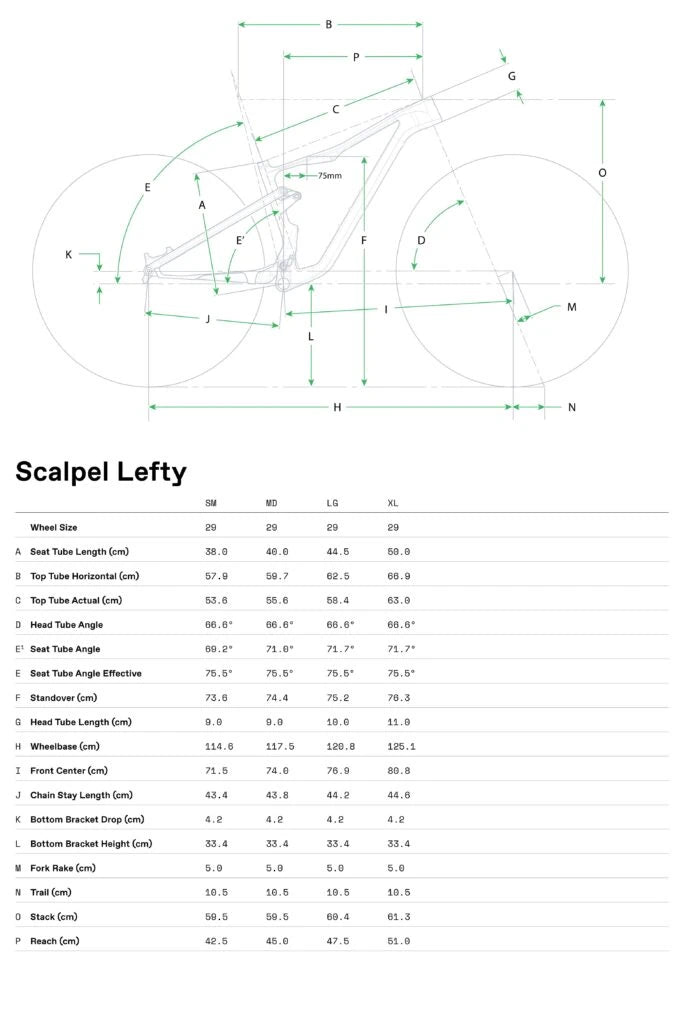 Bicicleta de muntanya Cannondale Scalpel 2 Lefty 2024