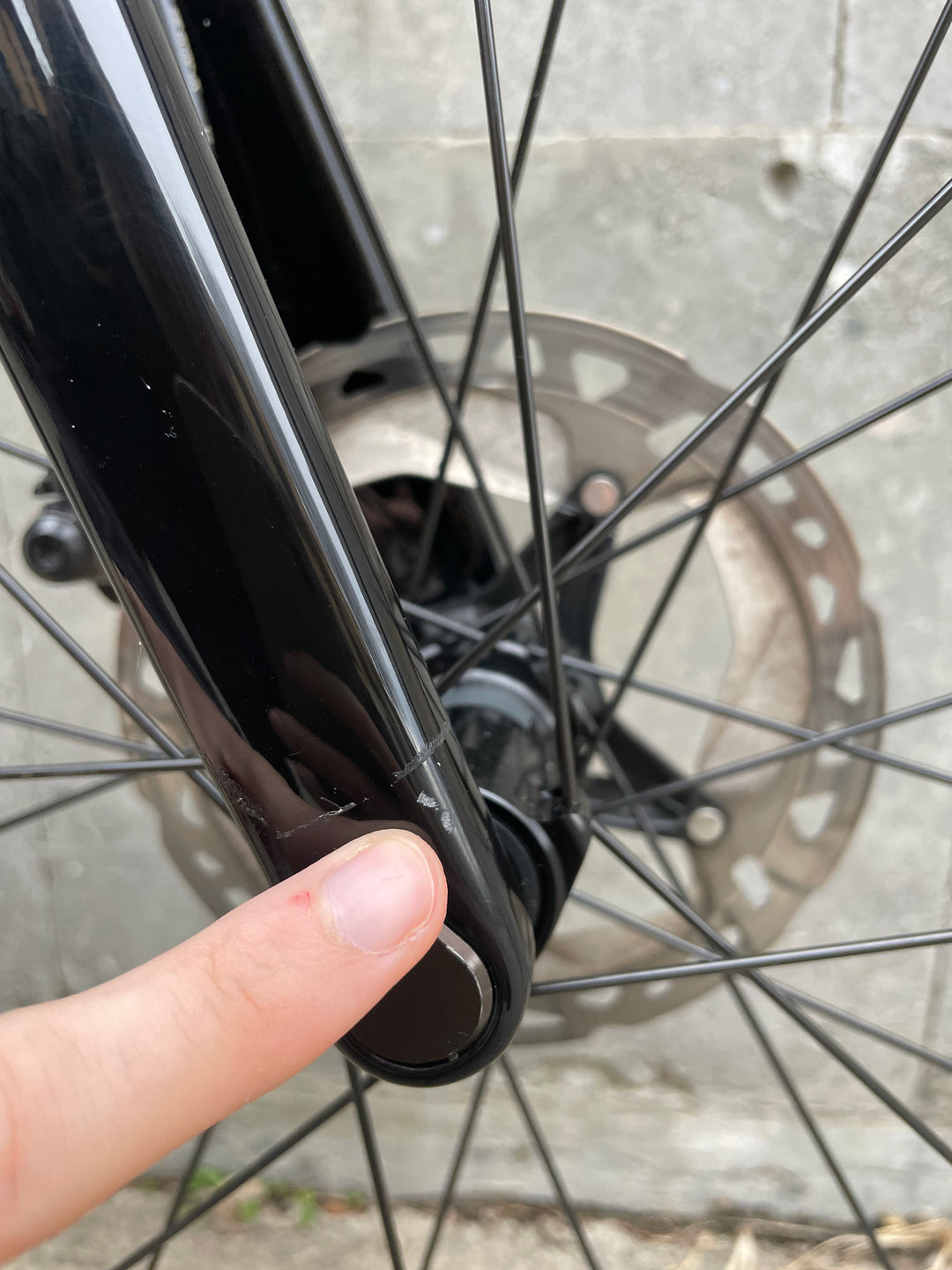 Vélo de route Colnago V4RS (Ultegra Di2 / Roues en aluminium) Démonstration 2025 Taille 530