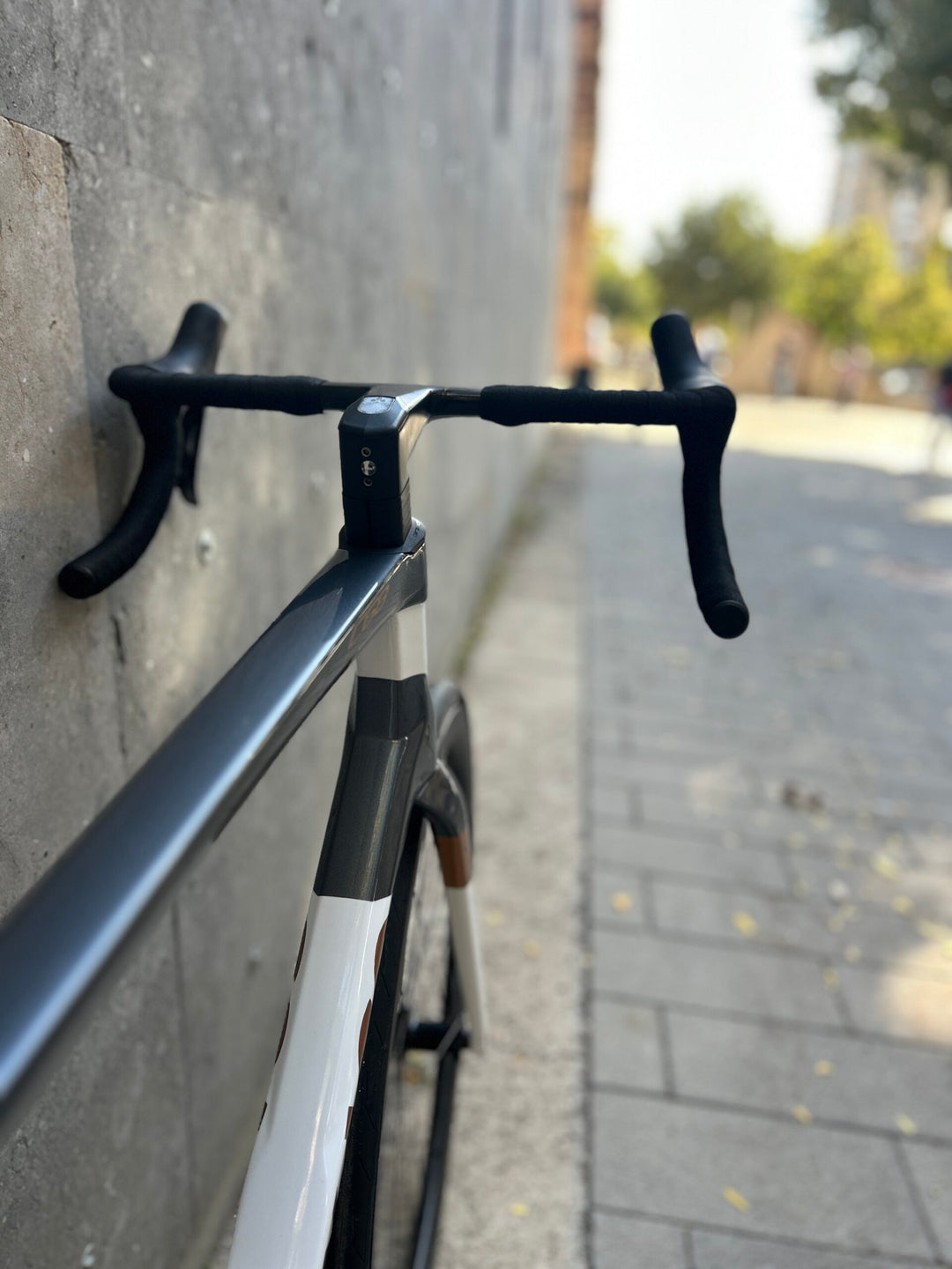 Colnago C68 (Shimano Ultegra Di2) Ex-Rental 2025 Size 550