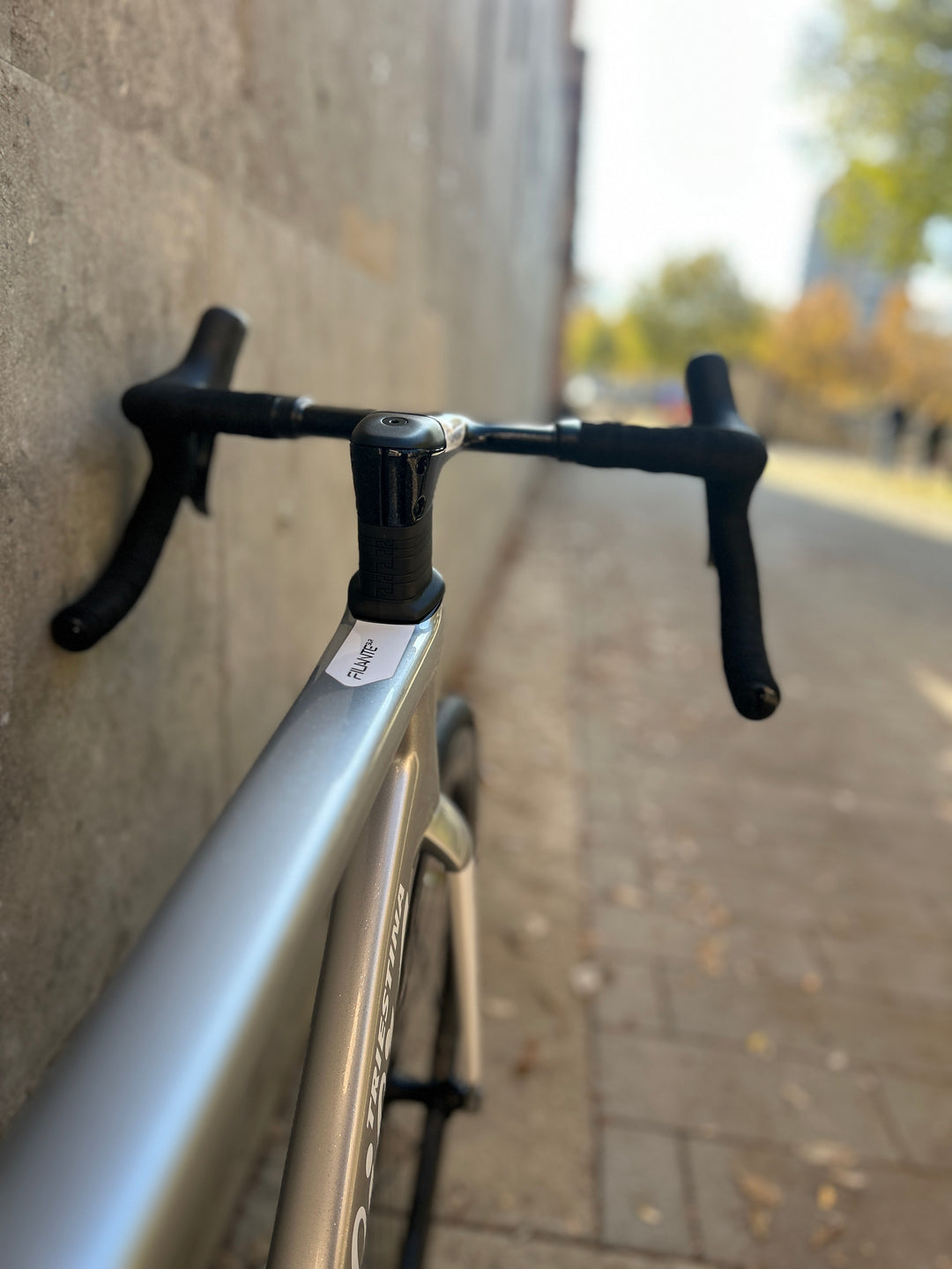 Wilier Filante SLR (Ultegra Di2 + KLEOS 50) Ex-Demo Size L