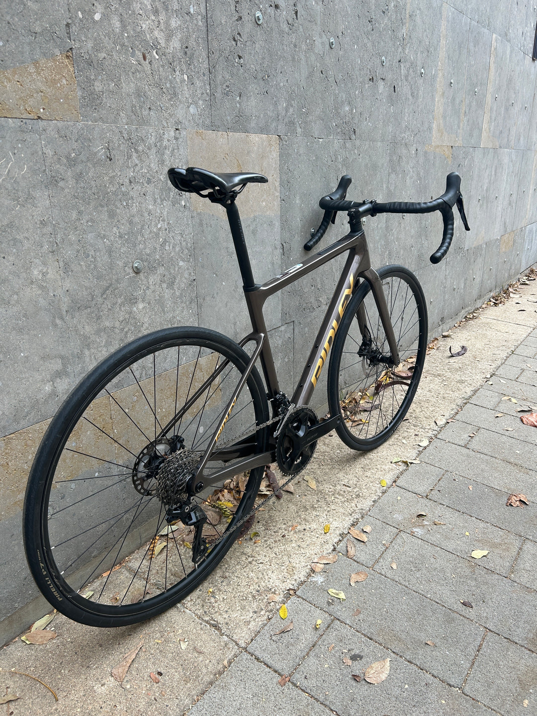 Ridley Grifn 7E7 (Shimano 105 Mec) Purest Size XS Ex-Rental