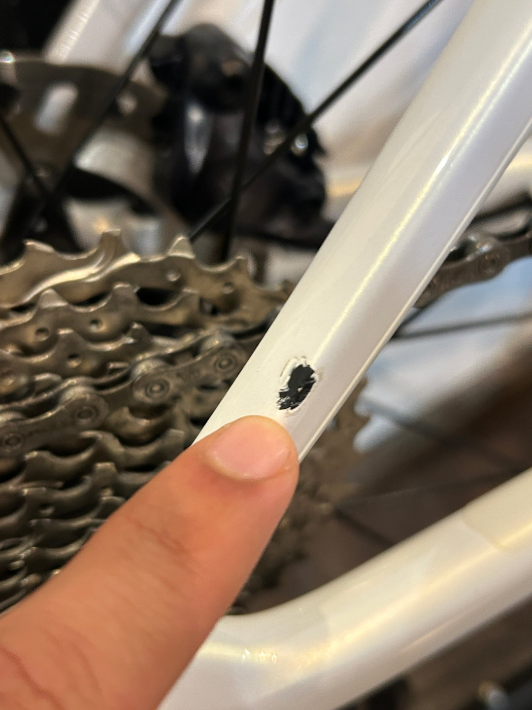 Colnago V4RS (Ultegra Di2 / Alu Wheels) - 420 / 2025 Ex-Rental