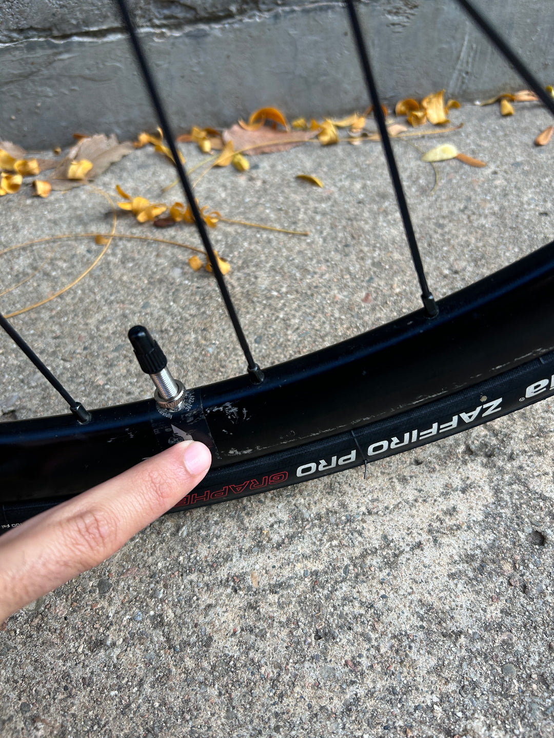 Wilier Garda Hybrid (Shimano 105 Di2 2x12 / ALU Wheels) M 2024 Ex-Demo