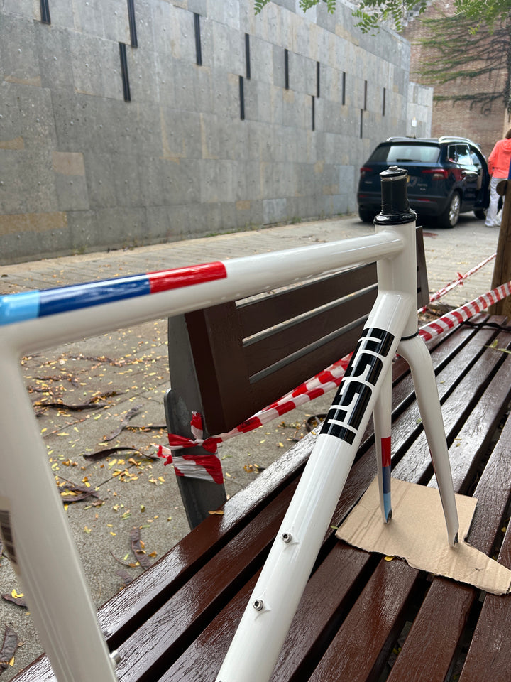 RS Cycles Gaslight BMW Frameset 52.5cm