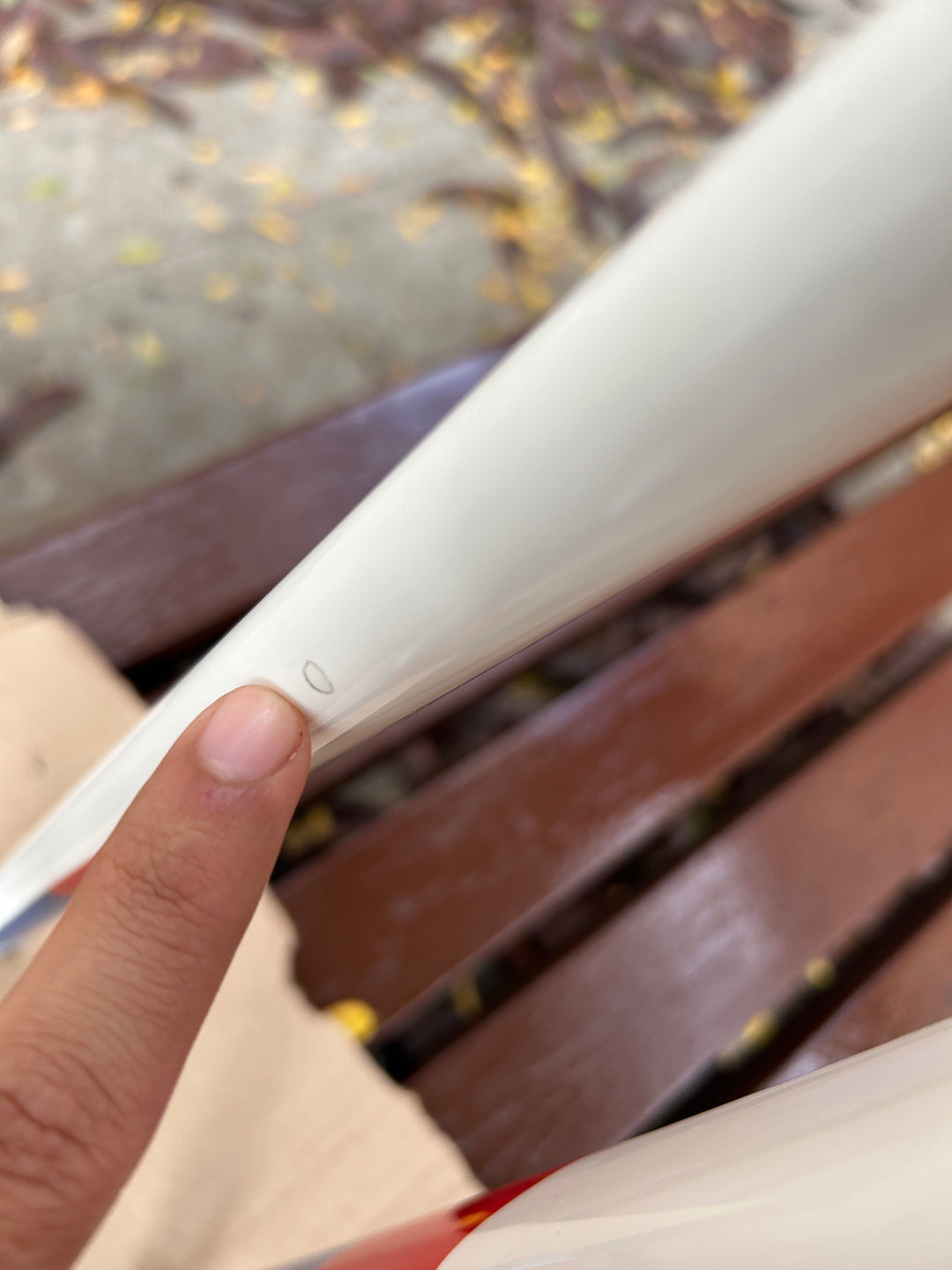 RS Cycles Gaslight BMW Frameset 52.5cm