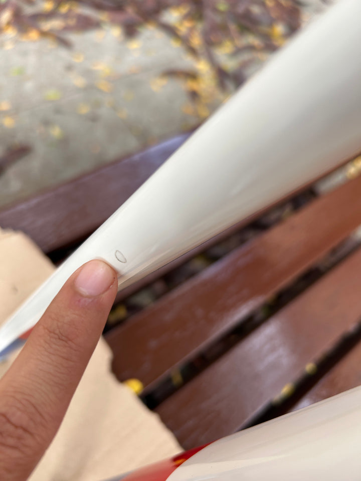 RS Cycles Gaslight BMW Frameset 52.5cm