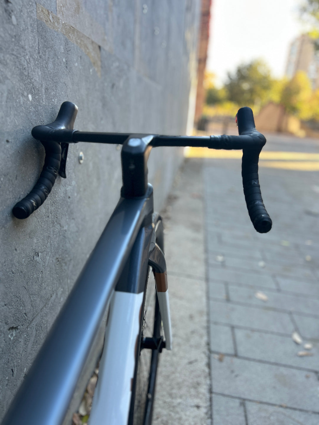 Colnago C68 (Shimano Ultegra Di2) Ex-Rental 2025 Talla 455