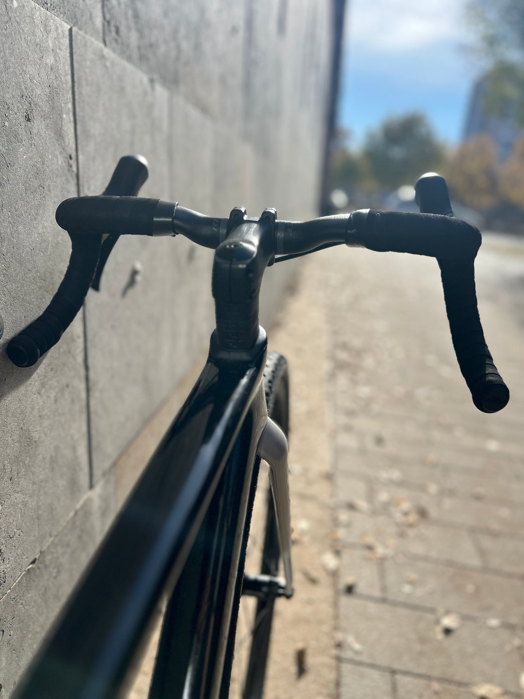 Wilier Rave SL Gravel Bike (Shimano GRX 1x12) Ex-Demo Size XS