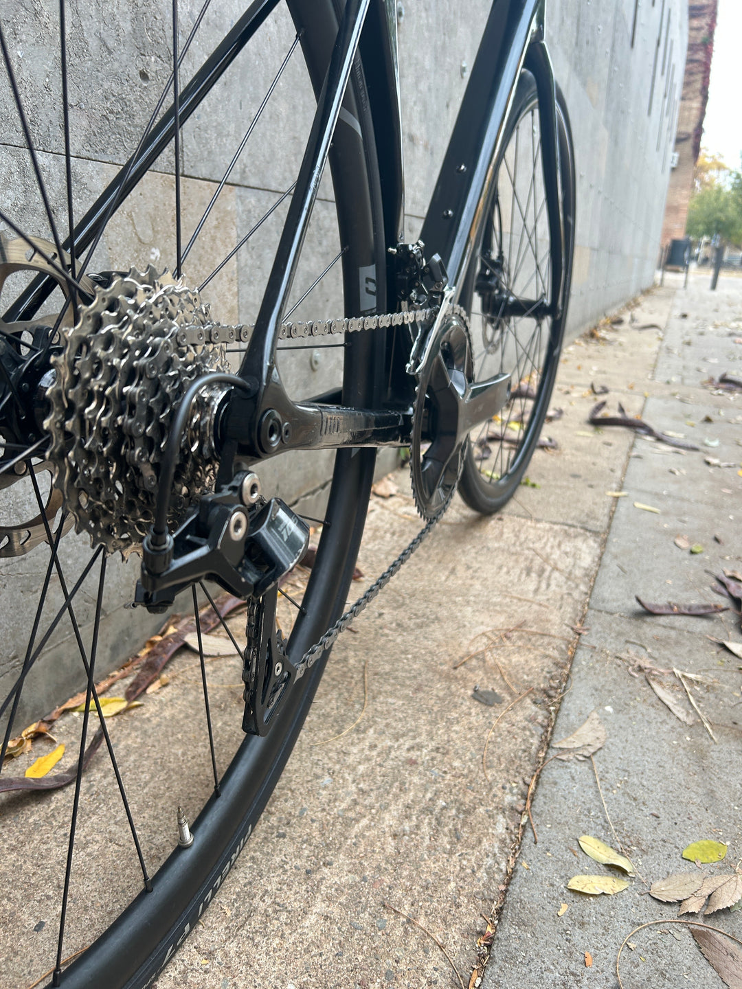 Basso Venta R (Shimano 105) Ex-Demo Size 53