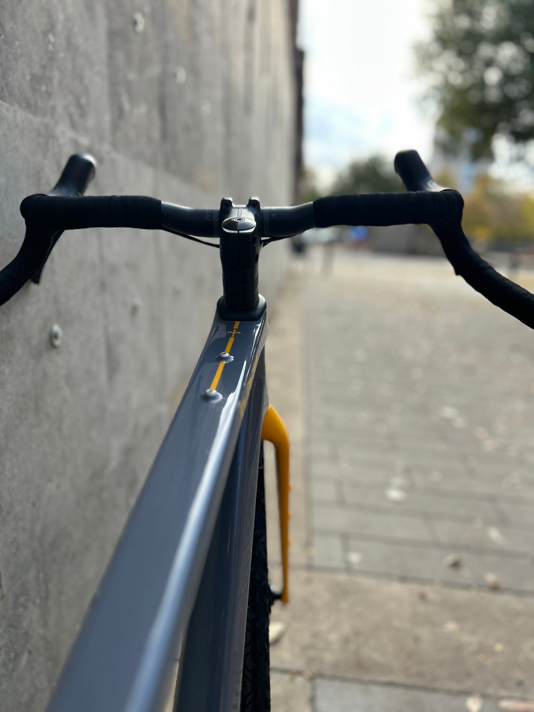 Wilier Adlar Gravel Bike (Shimano GRX 1x12) M Ex-Demo