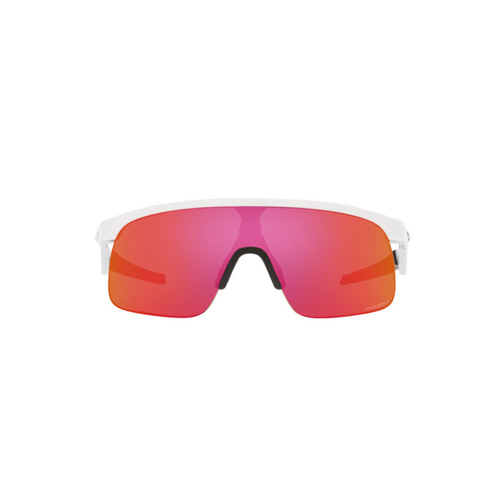 Oakley Resistor Polished White / Prizm Field