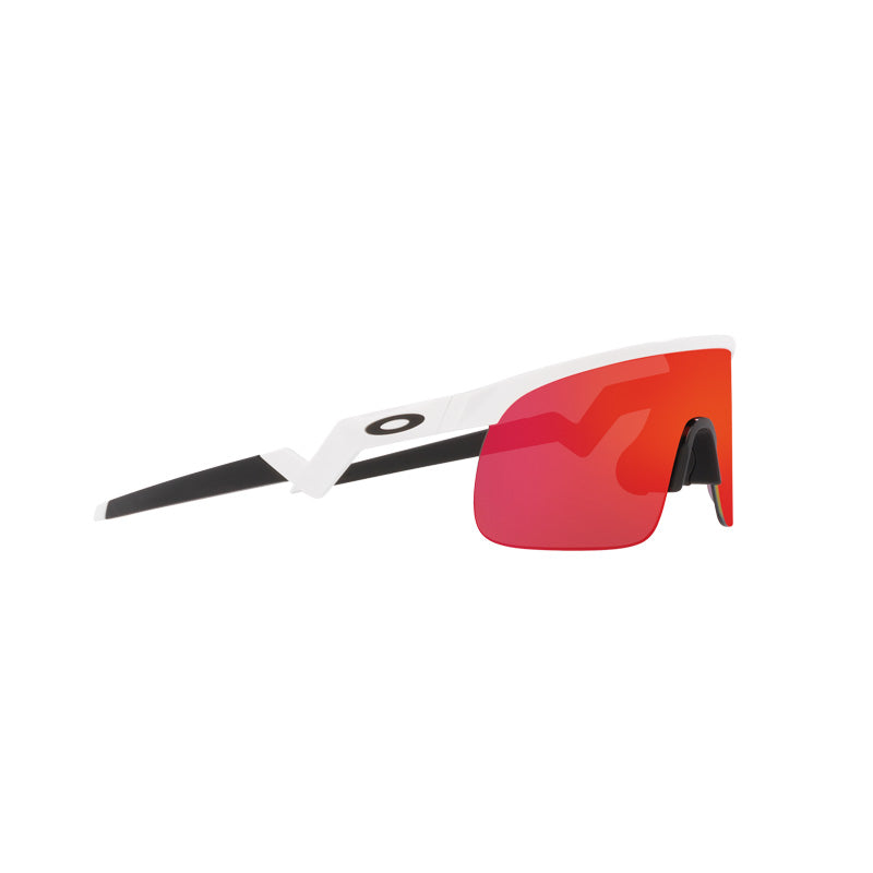 Oakley Resistor Polished White / Prizm Field