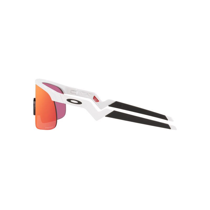 Oakley Resistor Polished White / Prizm Field