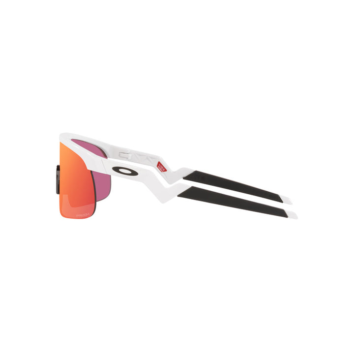 Oakley Resistor Polished White / Prizm Field