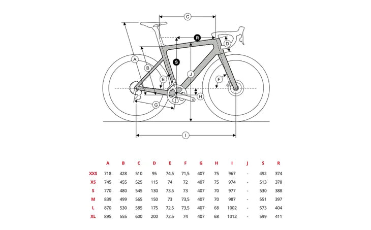 Ridley Falcn RS Disc Road Bike (Shimano 105 Di2 / Forza Levanto db)