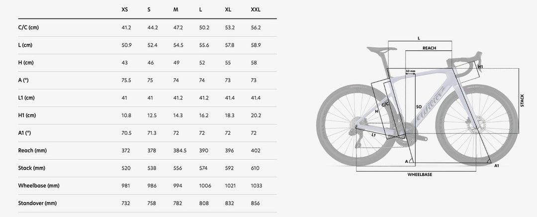 Wilier Rapida Shimano 105 2x12 (Miche Asfalto 45 Carbono)