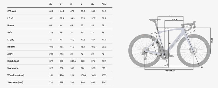 Wilier Rapida Shimano 105 2x12 (Miche Asfalto 45 Carbono)
