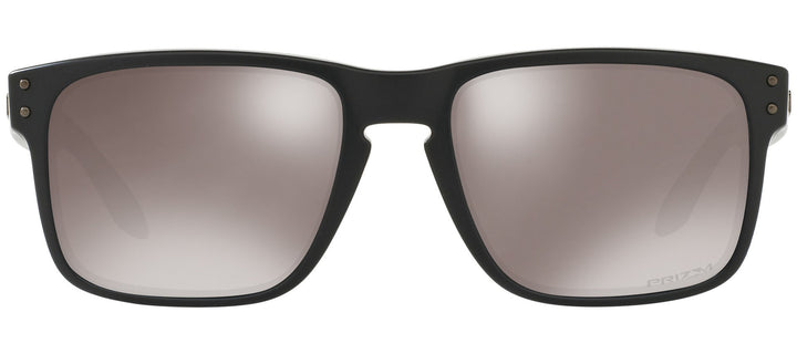 Holdbrook Black Prizm Black Polar