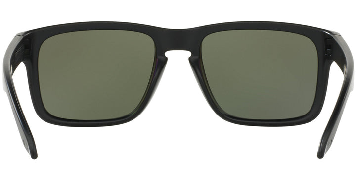 Holdbrook Black Prizm Black Polar