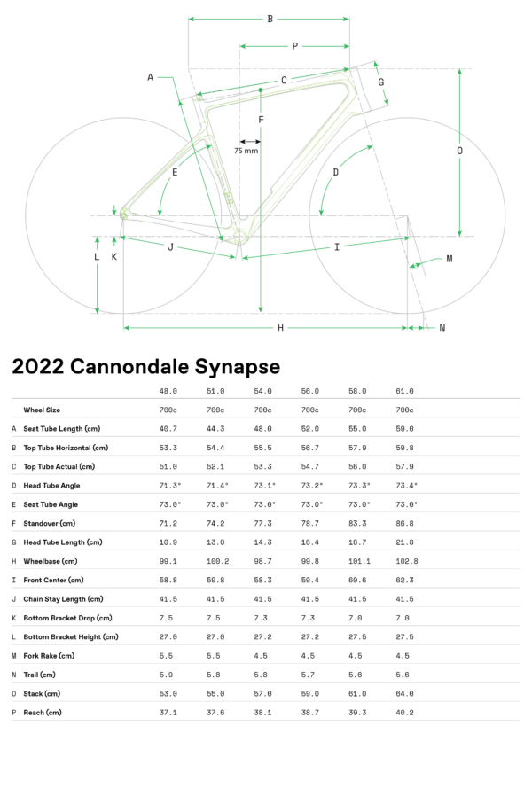 Cannondale Synapse Carbon 2 LE Shimano 105 di2 geometry
